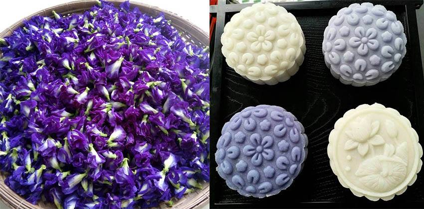 Tăng cường miễn dịch